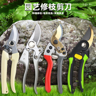 Manufacturer Wholesale Fruit Tree Pruning Scissors Alloy Steel Household Gardening Scissors Pruning Shears Branch Scissors Floral Scissors