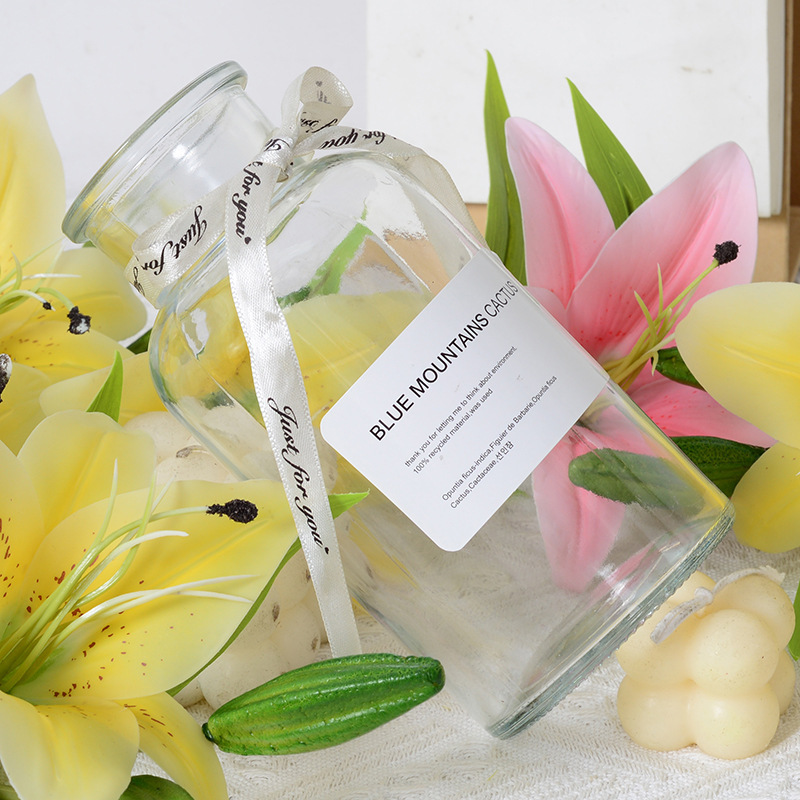 Florero de vidrio decoración salón arreglo floral transparente hidropónico bambú rica flor seca botella especial nueva cerámica hidropónica