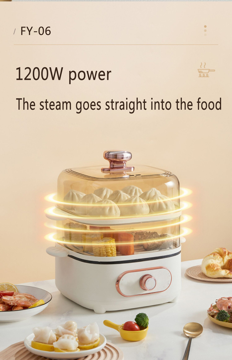 Cuit-vapeur électrique inox multifonction pour la cuisine_voghion.com