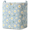 Blue daisy