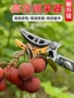 伸缩加长摘果采摘高枝剪