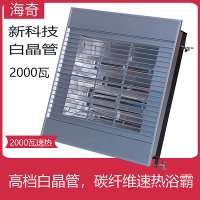 30*30 carbon fibre Yuba Quartz one Heaters Integrate suspended ceiling Embedded system Platinum Yuba