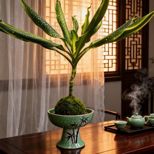 �~ǧ�~�҃Ⱥ��B��߅Ҳ�T�F6��8���_�������՚�Ԣ����g�L��