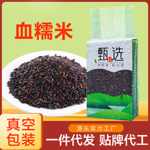 ѪŴ��500�� ��հ��b�|����������s�Z�����״ּZ���׺�Ŵ�����l