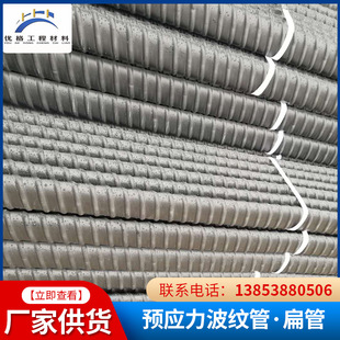 �A�������ϲ��y��̩���F؛ ��ɫ����������������PP��䓽g�����