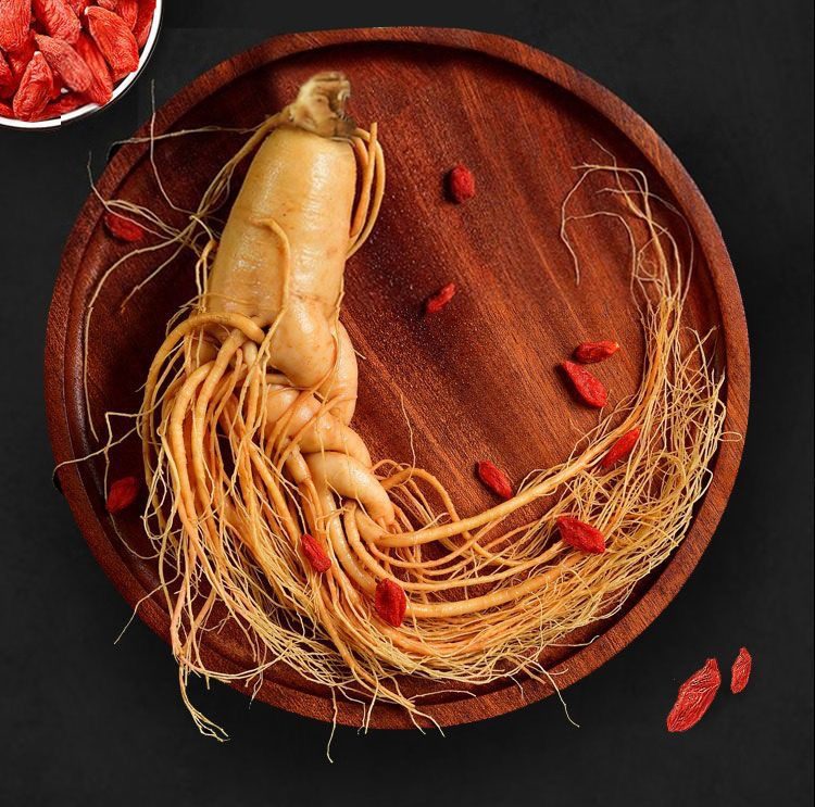 Fresh Changbai Mountain Ginseng Ren Shen Whole Root for Wine Infusion and Soup Making Gift Box key features
