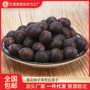 ���l������̶ɏ��ɏ���N�ӎ���ʯɏ�����辰����Nֲ�S��