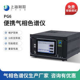 荆和 PG6便携气相色谱仪 色谱分析仪 国产气相色谱仪生产厂家