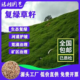 ���B�ޏ�ɳ�����������|��ɳ������ľϬ�ϻ���ޣ���l�N������
