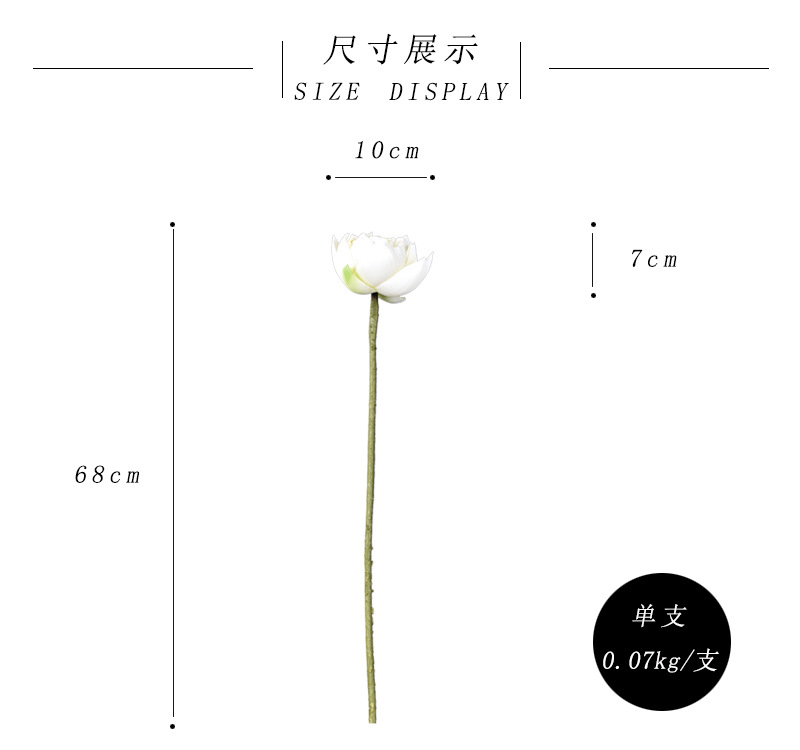 尺寸展-白色.jpg