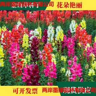 ���~�ݷN�����^���{�ӻ��r�л��҃����Ի��N�����̨�ļ��׷N����