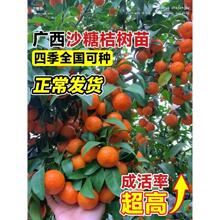 ɳ���٘���޽����Ә���̽۹������ɰ���ٵ��������Ϸ������Nֲ