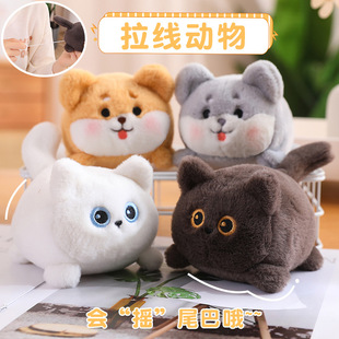 �ɐە��uβ�͵�С���uβ�͵Ĳ�Ȯ���ӵ�����С����l�lë�q���