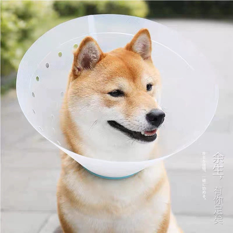 Elizabeth Circle Pet Anti-Lick Anti-tus Anti-cratch Stame Circle Стерилизационный защитный чехол Ошейник для собак и кошек Обертывающая пряжка