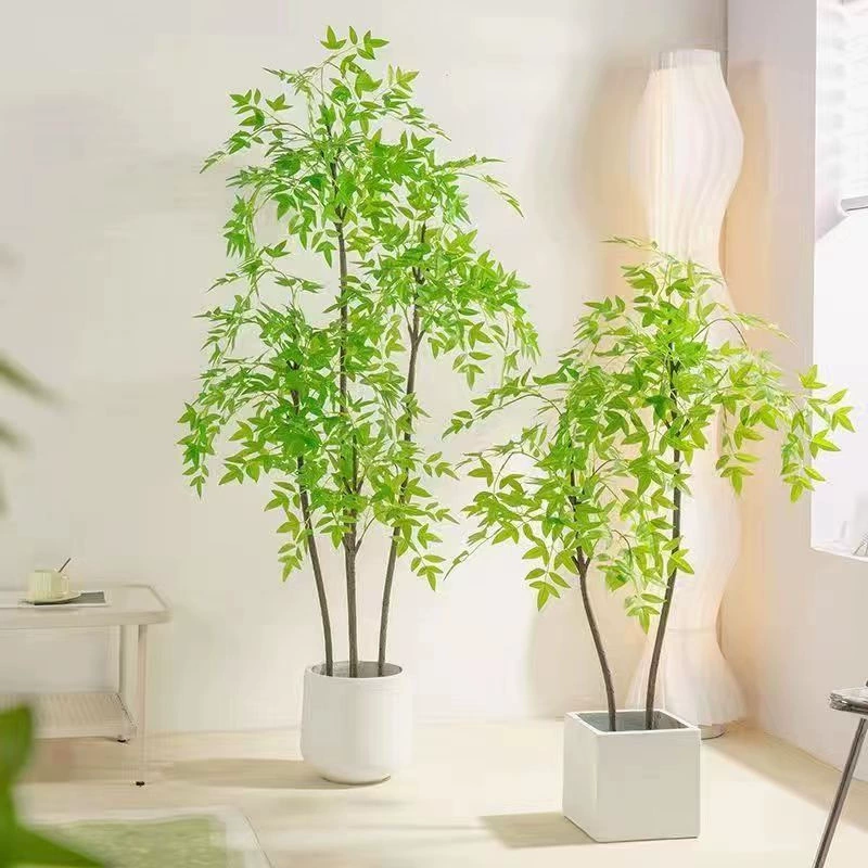 Зеленое растение Nantianzhu Гостиная Бонсай Напольный Бонсай Чистая Знаменитость Крытый Высококачественные растения Красный морозостойкий Двор Балкон Открытый