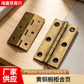 厂家批发新中式衣柜门铜合页大门窗户平开铰链 柜门家具小合页