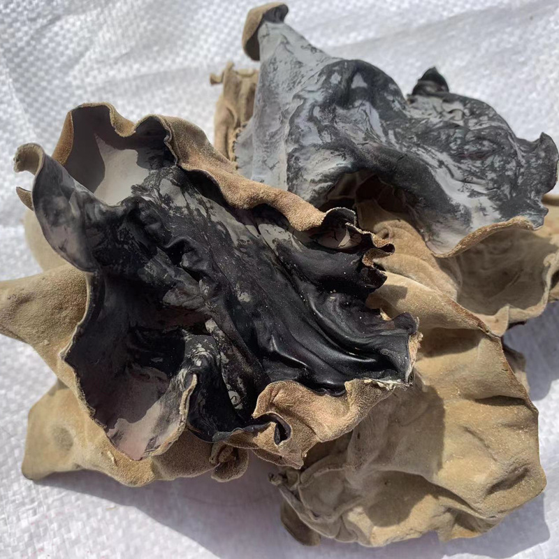 84803db89c9098bb8472dc622cac01