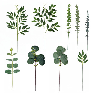 ���R�d�����ȼ��������廨�b� �羳����~�M����С�r�շ���Gֲ