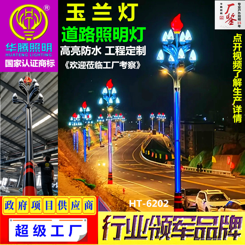 定制八叉九火玉兰灯6米15米中华灯户外市政道路照明高杆景观路灯