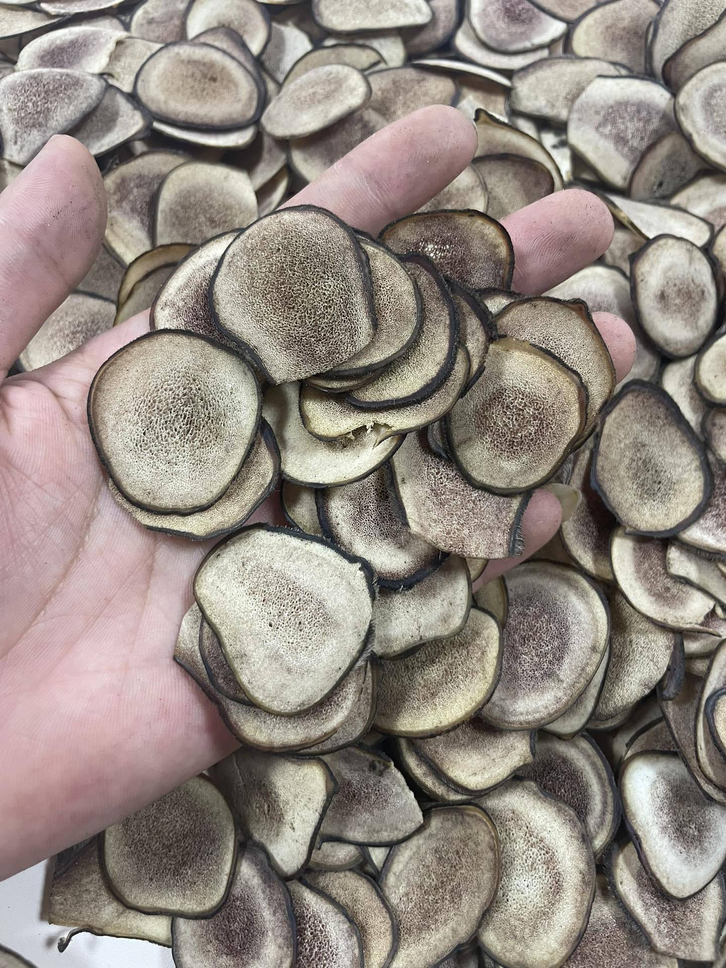 Dried Deer Antler Slices Xue Sha Pian Jilin Origin Traditional Herbal Decoction Pieces 10g overview