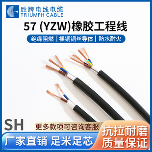 ����늾� 57(YZW)-2/3/4/5о���z�o��ܛ�� ������ĥ���˹��̾�