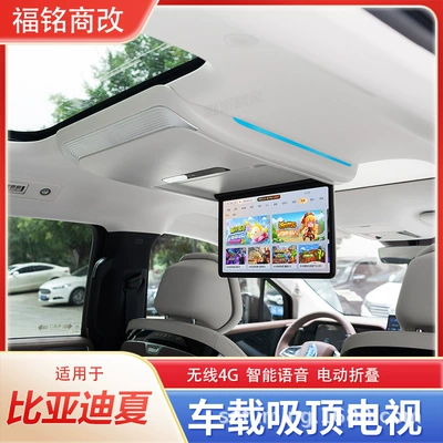 Special Car Ceiling Tv, Car TV