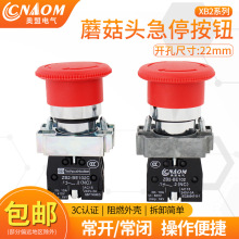 ZB2XB2-BS542 XB2-BS442 XB2-BS542Cͣoo_P