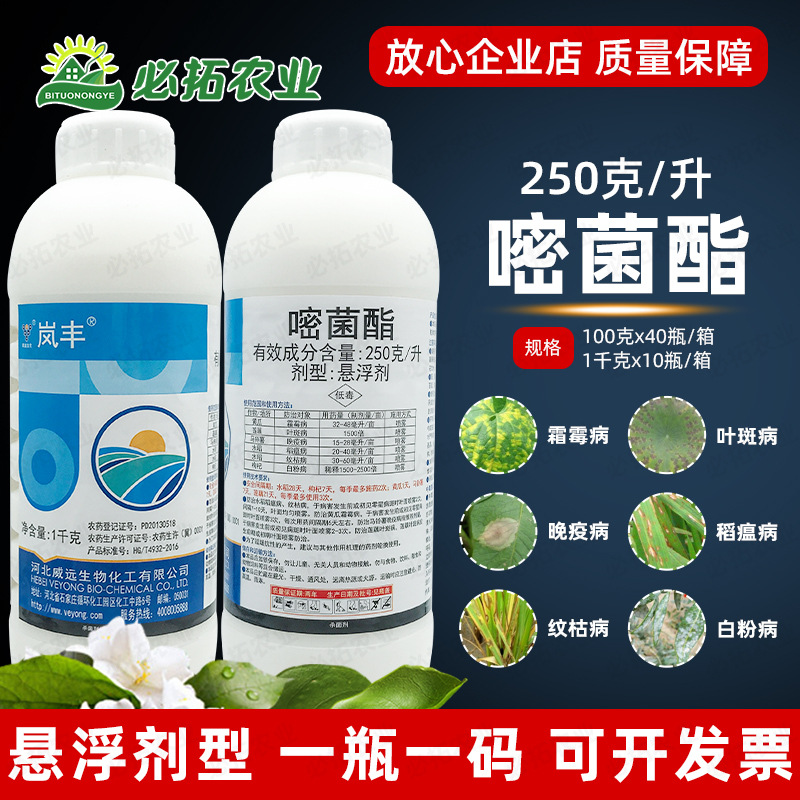 25%嘧菌酯悬浮剂杀菌剂黄瓜霜霉病白粉病水稻纹枯病叶斑病稻瘟病