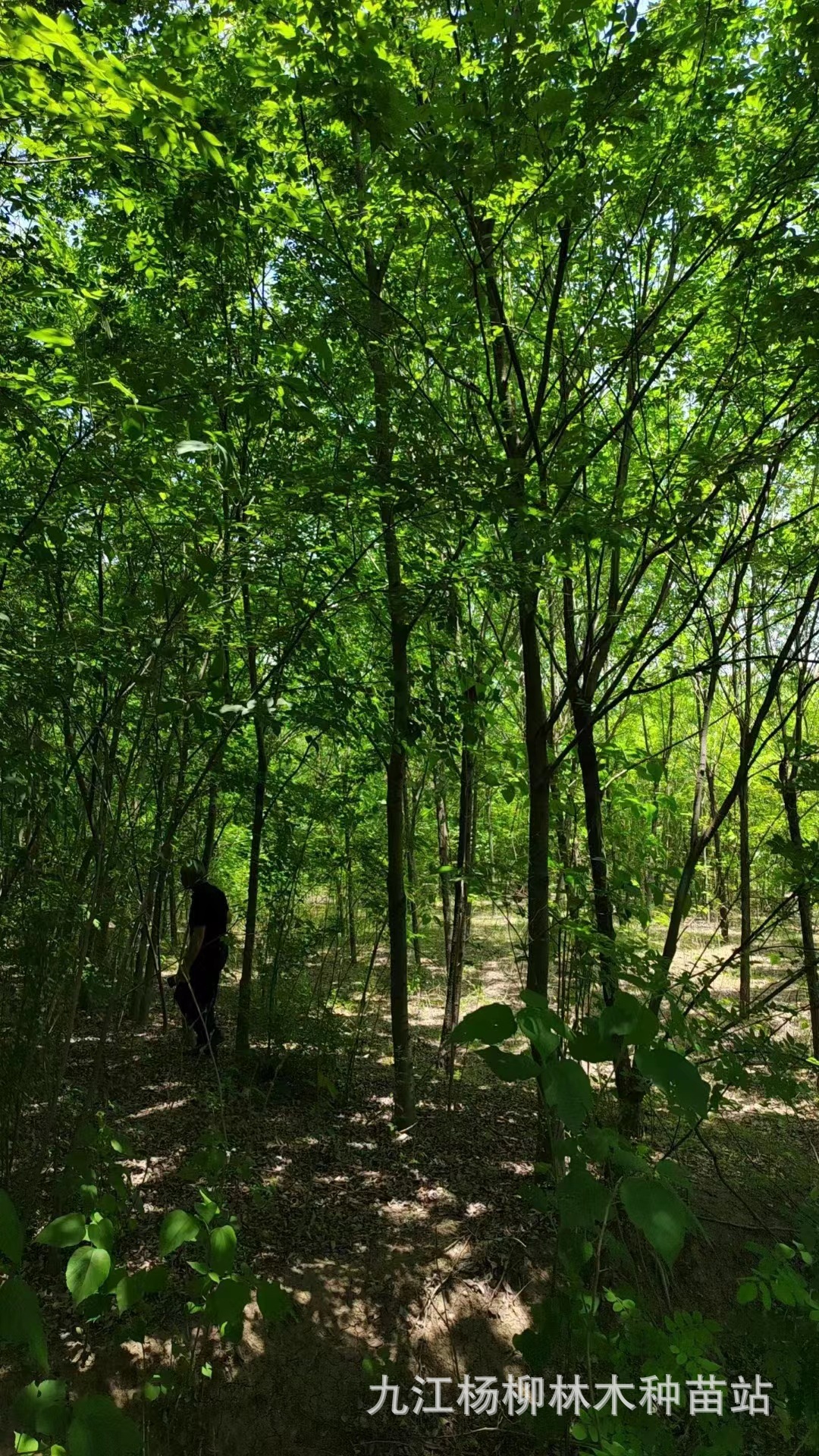 微信图片_20231009155746