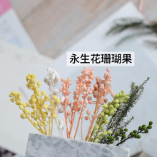 永生花珊瑚果足球果diy材料书房玄关软装装饰配件高级感家居点缀