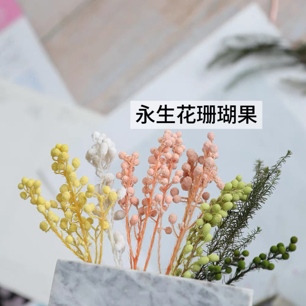 永生花珊瑚果足球果diy材料书房玄关软装装饰配件高级感家居点缀