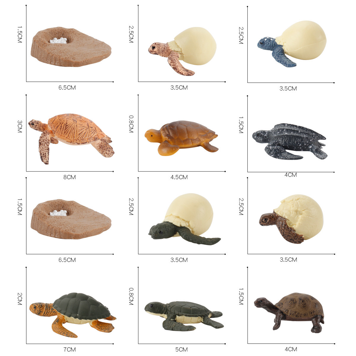 Exportación transfronteriza Simulación infantil modelo animal marino Tortuga cocodrilo pulpo ciclo de crecimiento educación temprana juguetes cognitivos