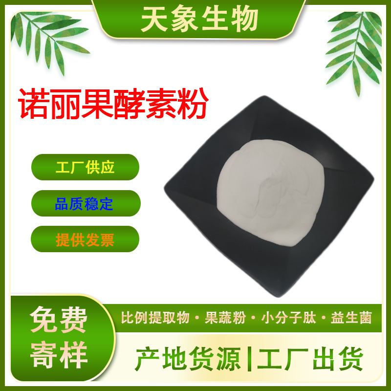 诺丽果酵素粉 诺丽果提取物 诺丽果果粉 水溶酵素粉 量大优惠