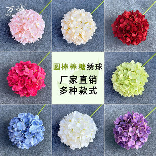 ���滨�������û�c�A�����ǽ�����滨�ٻ����û�Y��ˇ���ľGɫ