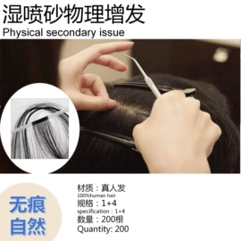 假发马尾;假发长卷发;其他假发