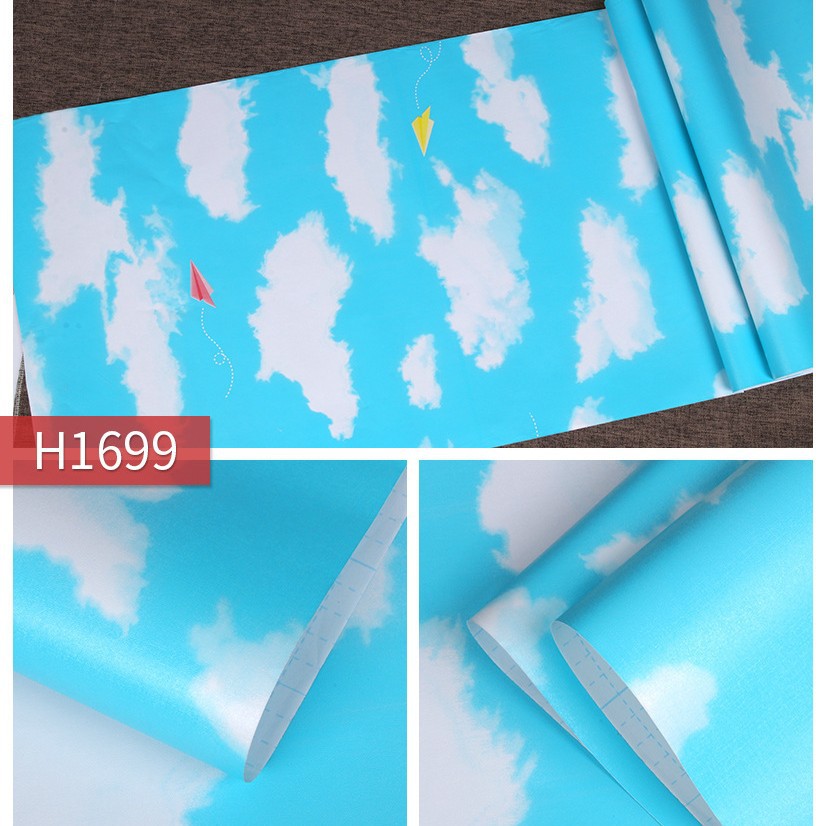 H1699