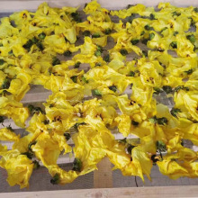 �S�������əC �𻨿�����O�� ���R�՚��ܟ���r����ɷ�