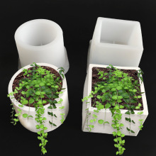 �羳�������ֲ�ﻨ�����������辰����[������Gֲ������zģ��