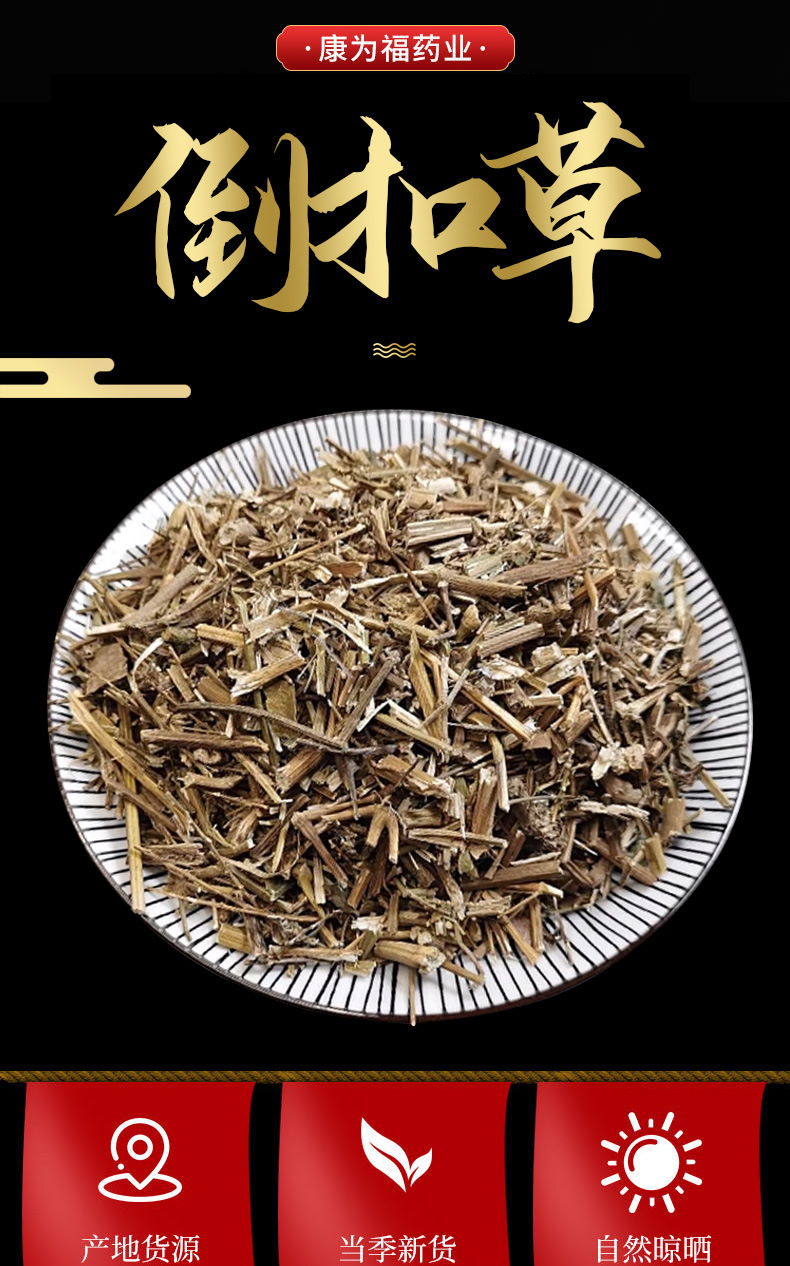 Dao Kou Cao (Achyranthes aspera) — Dried Food Herb, Whole Plant for Decoction & Tea overview