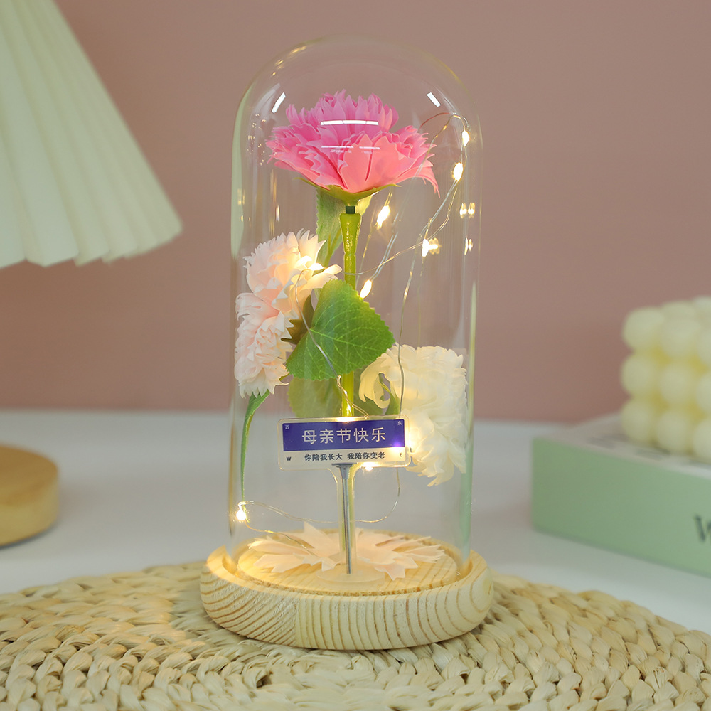 Fábrica al por mayor Flor eterna Cubierta de vidrio Clavel Caja de regalo Flor simulada Decoración de escritorio Día de la madre Regalo para mamá