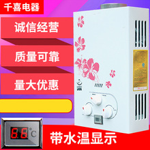 跨境商用家用燃气热水器天然气煤气液化气烟道式自动直排快速即热