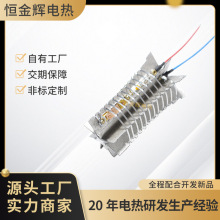工厂直供直流电吹风发热芯智能扫地机加热丝电热体配件定制加工
