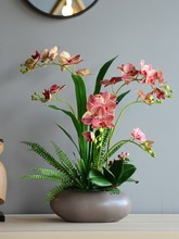 仿真花手感PU蝴蝶兰盆景盆栽花艺客厅高档假花桌面装饰花摆件婚庆