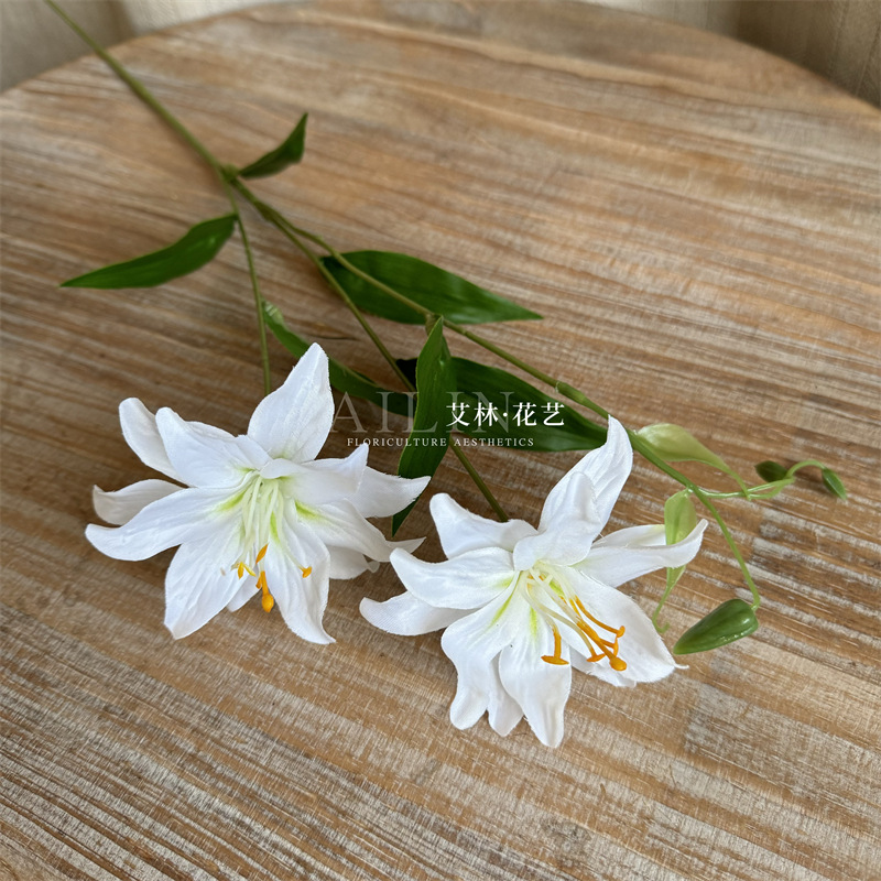 10#하얀색