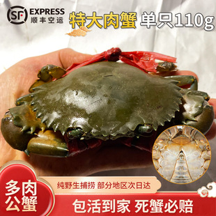 D������з���\ �ϼ�����з�r�� ���зҰ��1ֻ110g��������з