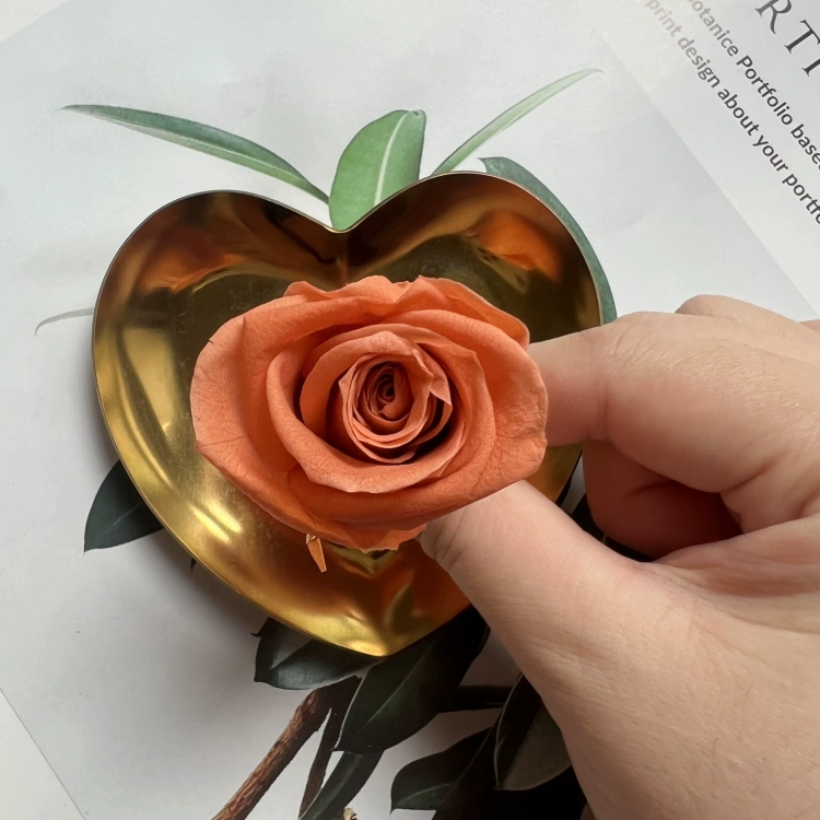 Материалы для DIY вечной жизни цветка, класс B, голова вечной розы 2–3 см, маленький брелок-розочка с основным материалом
