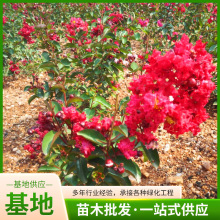 @־Gľ طNֲtޱ ռt 󃞻 ޱ