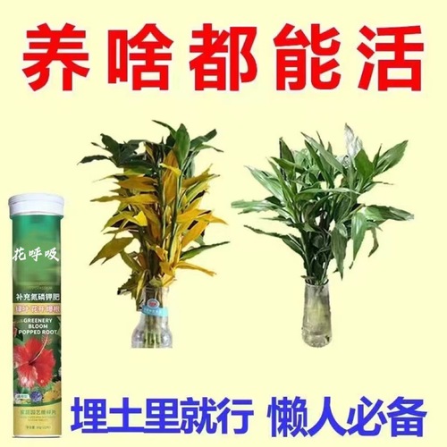 【General Type for Germany】Flowering Plant Potted Green Plant Fruit and Vegetable General Purpose Household Gardening Fertilizer Manufacturer