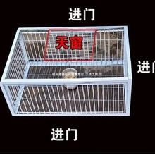 \ץӻ\ȫԄֻM\ײTܼӴ֑