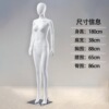 直手直腿（大胸款）